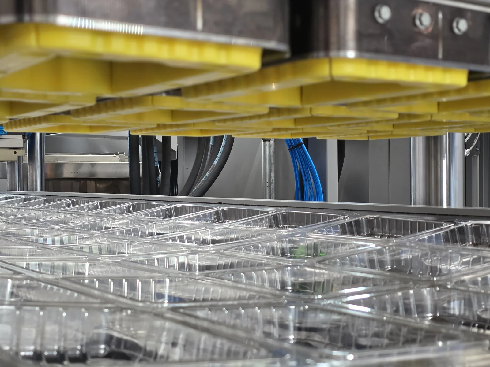 PET trays thermoformed with GravoLAB FXL1000 tooling, close-up